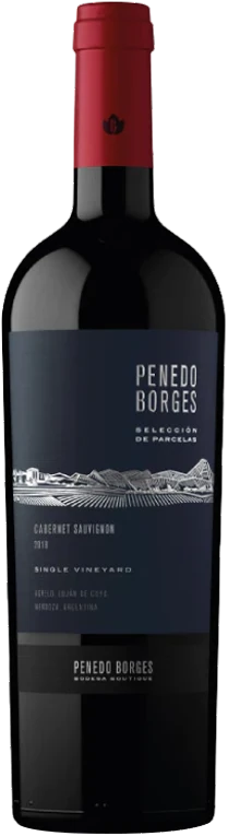 Penedo Borges Selecc Parcelas Cab