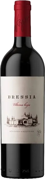 Bressia Ultima Hoja